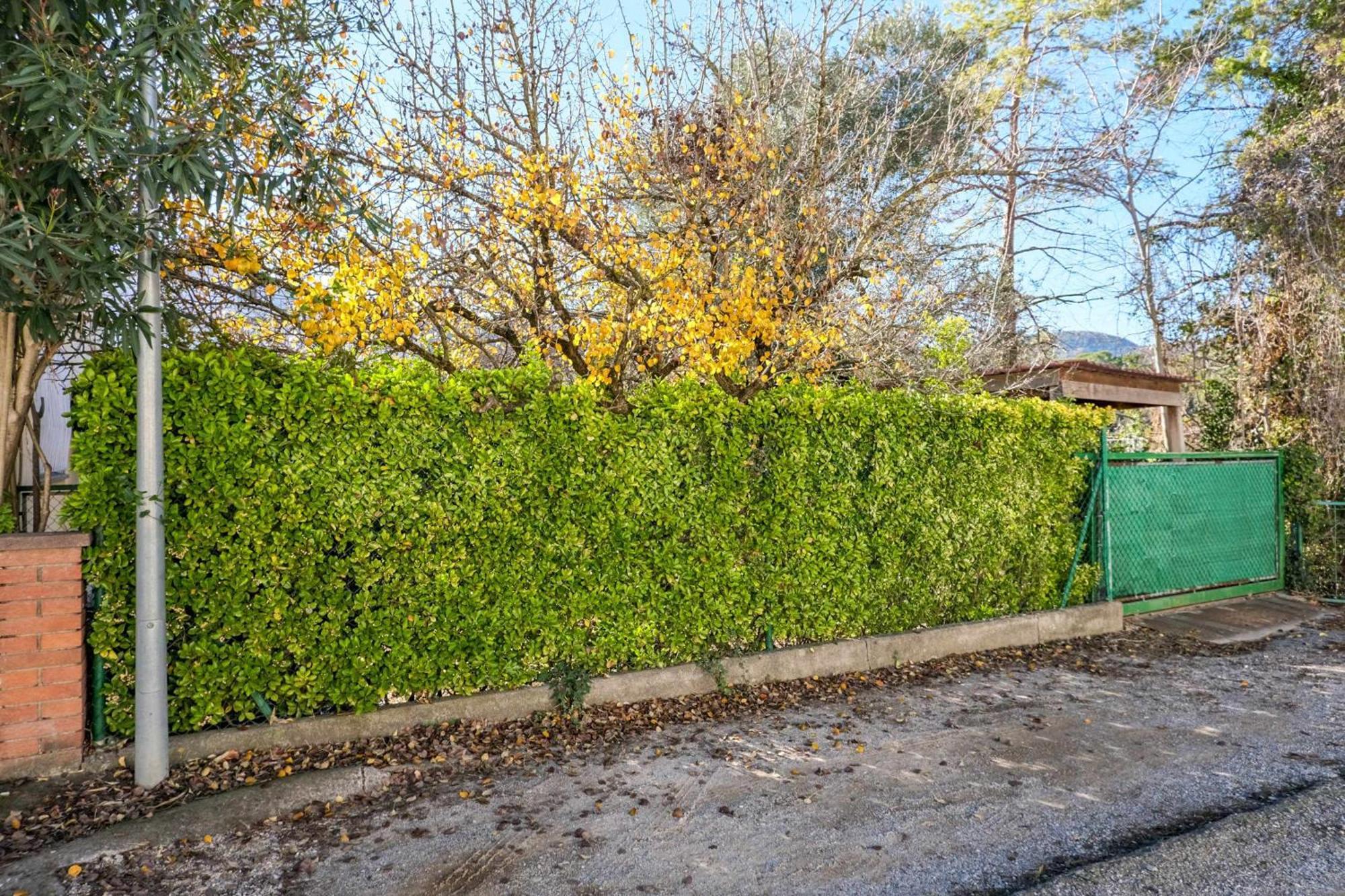 Can Camps Besalu Casa Planta Baja Con Jardin Eksteriør billede